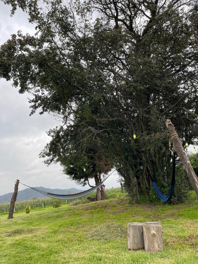 Floresta Casa De Campo Amecameca المظهر الخارجي الصورة